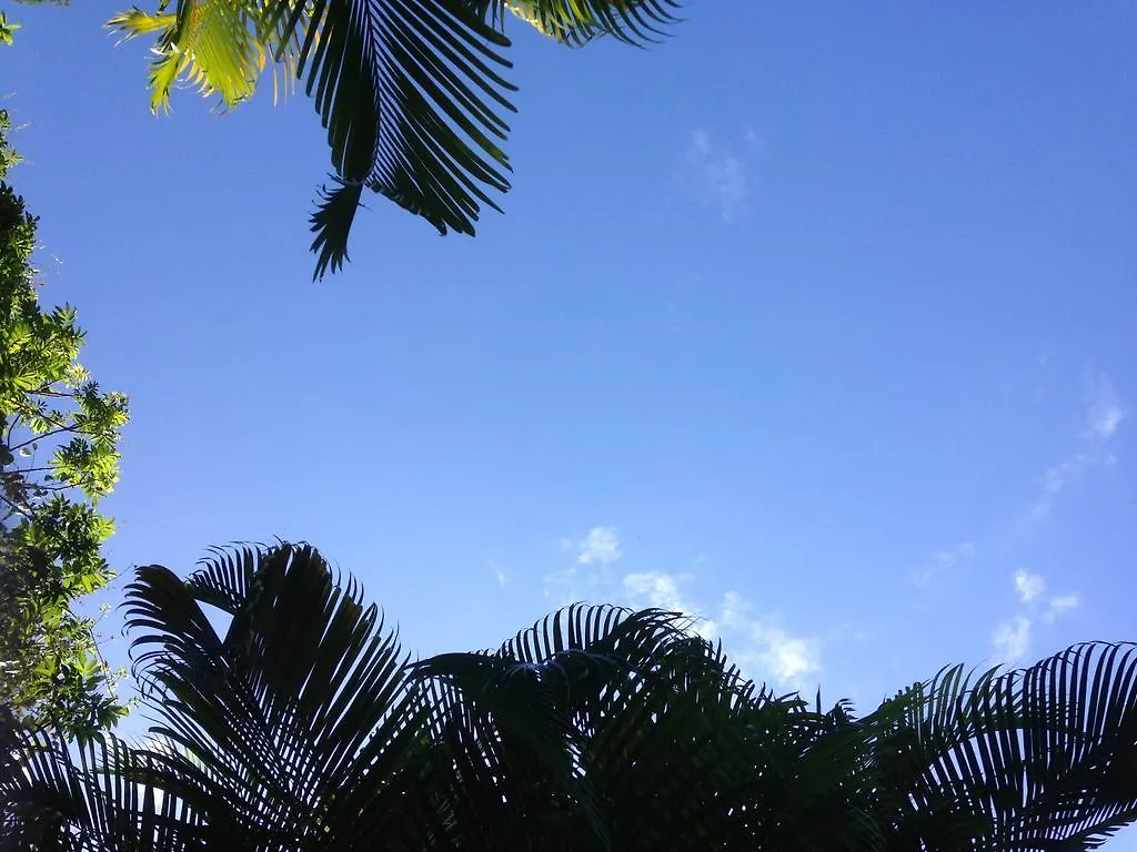 Ryan'S Rest Boutique Accommodation Cairns Gasthuis