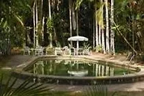 3* Hotel Rainforest Grove